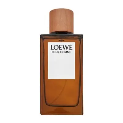 Loewe Pour Homme toaletní voda pro muže 150 ml