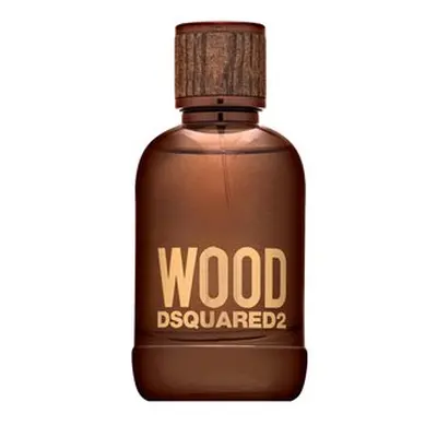 Dsquared2 Wood toaletní voda pro muže 100 ml