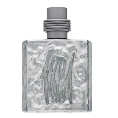 Cerruti 1881 Silver toaletní voda pro muže 100 ml