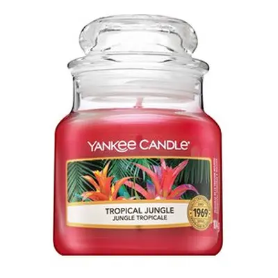 Yankee Candle Tropical Jungle votivní svíčka 104 g