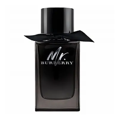 Burberry Mr. Burberry parfémovaná voda pro muže 150 ml