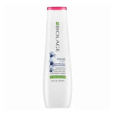 Matrix Biolage Colorlast Purple Shampoo šampon pro blond vlasy 250 ml