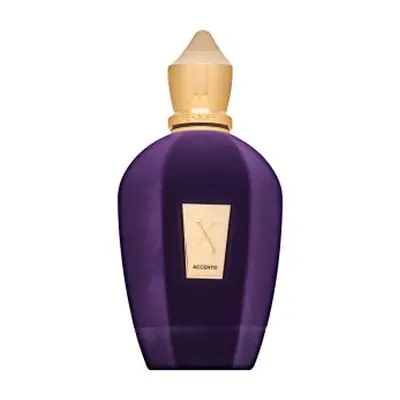 Xerjoff Accento parfémovaná voda unisex 100 ml