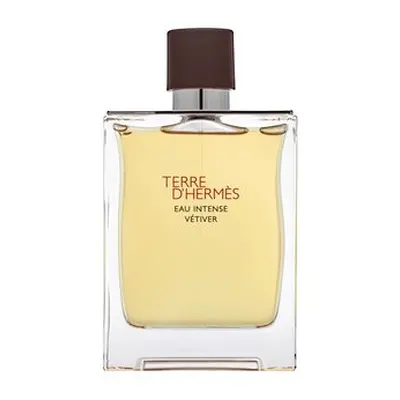 Hermes Terre D'Hermes Eau Intense Vetiver parfémovaná voda pro muže 200 ml