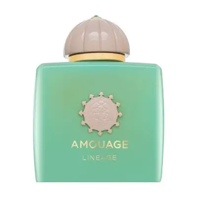 Amouage Lineage parfémovaná voda pro muže 100 ml