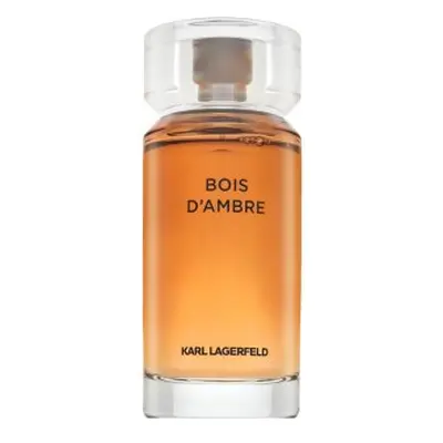 Lagerfeld Bois d'Ambre toaletní voda pro muže 100 ml