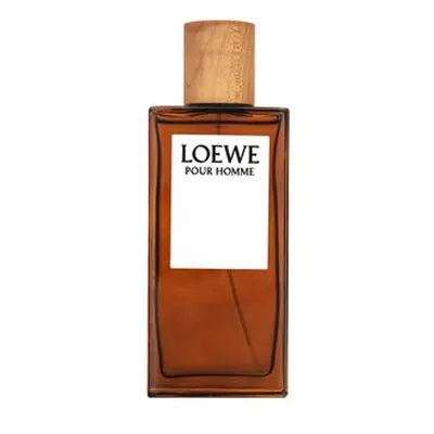 Loewe Pour Homme toaletní voda pro muže 100 ml