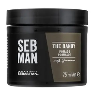 Sebastian Professional Man The Dandy Shiny Pommade pomáda na vlasy pro lehkou fixaci 75 ml