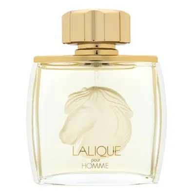 Lalique Pour Homme Equus parfémovaná voda pro muže 75 ml