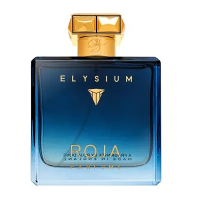 Roja Parfums Elysium Pour Homme parfémovaná voda pro muže 100 ml