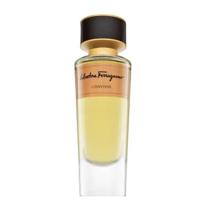 Salvatore Ferragamo Tuscan Creations Convivio parfémovaná voda unisex 100 ml