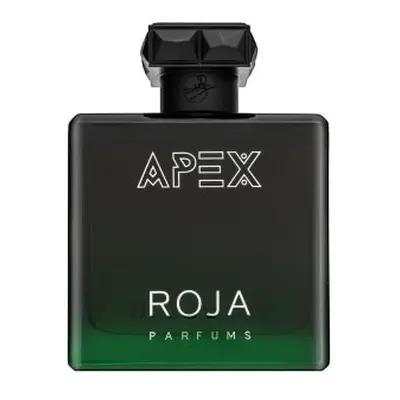 Roja Parfums Apex parfémovaná voda pro muže 100 ml