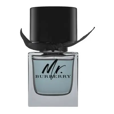 Burberry Mr. Burberry toaletní voda pro muže 50 ml