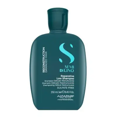 Alfaparf Milano Semi Di Lino Reconstruction Reparative Low Shampoo vyživující šampon pro suché a