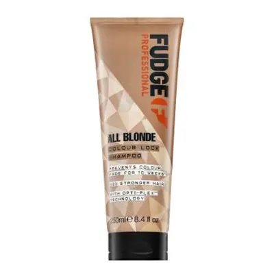 Fudge Professional All Blonde Colour Lock Shampoo ochranný šampon pro barvené vlasy 250 ml