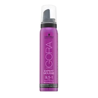 Schwarzkopf Professional Igora Expert Mousse Semi-Permanent Mousse Color semi-permanentní barvíc