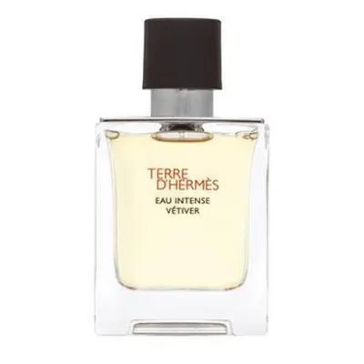 Hermes Terre D'Hermes Eau Intense Vetiver parfémovaná voda pro muže 50 ml