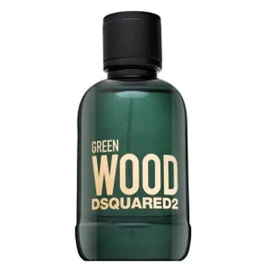 Dsquared2 Green Wood toaletní voda pro muže 100 ml