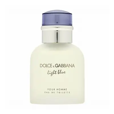 Dolce & Gabbana Light Blue Pour Homme toaletní voda pro muže 40 ml