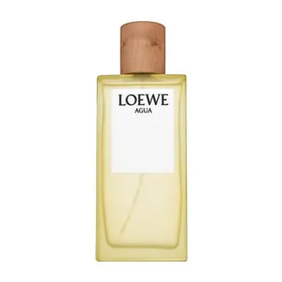 Loewe Agua de Loewe toaletní voda unisex 100 ml