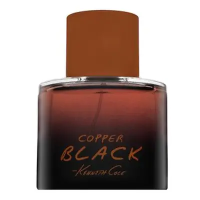 Kenneth Cole Black Copper toaletní voda pro muže 100 ml