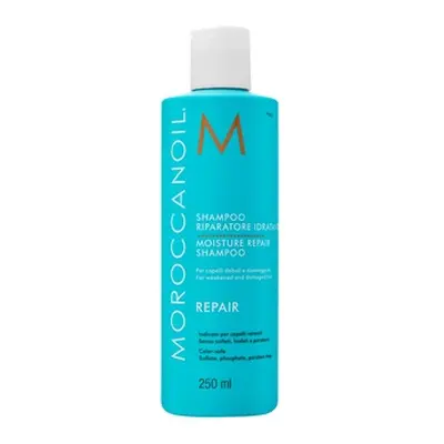 Moroccanoil Repair Moisture Repair Shampoo šampon pro suché a poškozené vlasy 250 ml