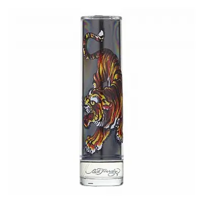 Christian Audigier Ed Hardy For Men toaletní voda pro muže 100 ml