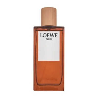 Loewe Solo Loewe Pour Homme toaletní voda pro muže 100 ml