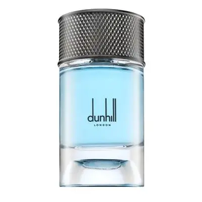 Dunhill Signature Collection Nordic Fougere parfémovaná voda pro muže 100 ml