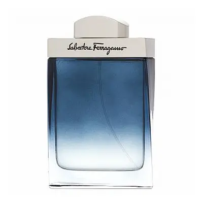 Salvatore Ferragamo Subtil Pour Homme toaletní voda pro muže 100 ml