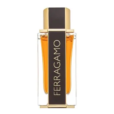 Salvatore Ferragamo Spicy Leather Special Edition parfémovaná voda pro muže 100 ml