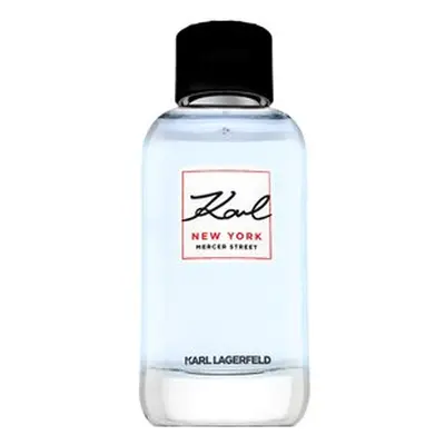 Lagerfeld New York Mercer Street toaletní voda pro muže 100 ml