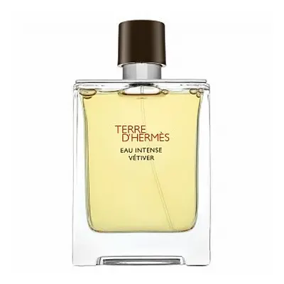 Hermes Terre D'Hermes Eau Intense Vetiver parfémovaná voda pro muže 100 ml