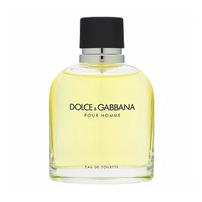 Dolce & Gabbana Pour Homme toaletní voda pro muže 125 ml