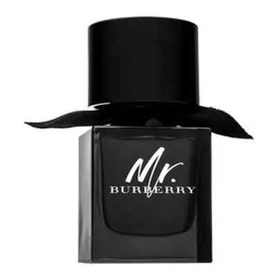 Burberry Mr. Burberry parfémovaná voda pro muže 50 ml