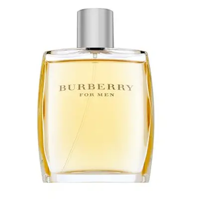 Burberry For Men toaletní voda pro muže 100 ml