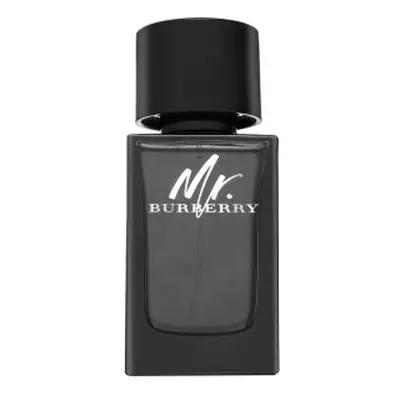 Burberry Mr. Burberry parfémovaná voda pro muže 100 ml