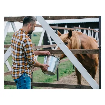 Zážitek - Farmářem na zkoušku aneb den s koňmi Co dělat v Královéhradeckém kraji? Vyrazte za záž