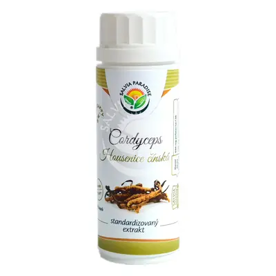 Salvia Paradise Cordyceps - Housenice čínská - standardizovaný extrakt 100 kapslí