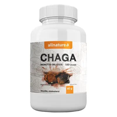 Allnature Chaga 100 kapslí