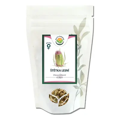 Salvia Paradise Štětka lesní - kořen 100g