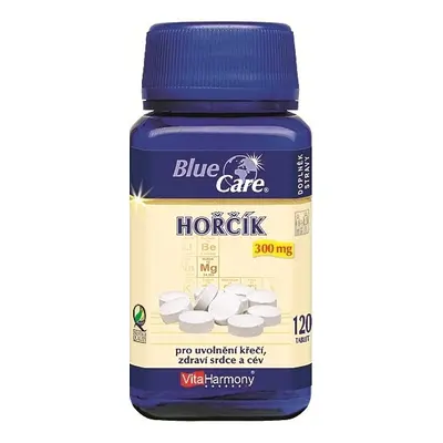 VitaHarmony Hořčík 300 mg - 120 tbl.