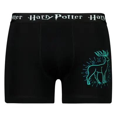 Pánské boxerky Harry Potter - Frogies