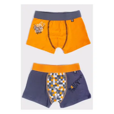 Yoclub Kids's 2Pack Boy's Boxer Briefs BMB-0014C-AA30