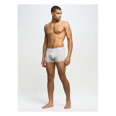 Big Star Man's Boxer Shorts Underwear Grey