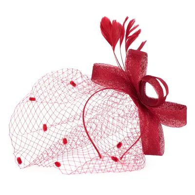 Art Of Polo Woman's Fascinator cz22171