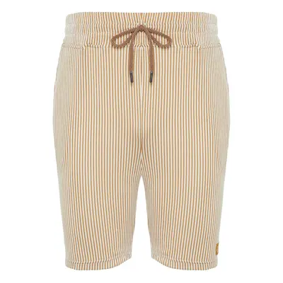 Trendyol Beige Striped Regular Cut Shorts