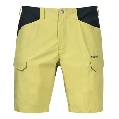 Pánské kraťasy Bergans Utne Shorts Green