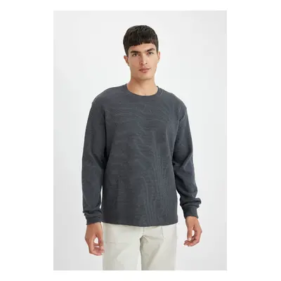 DEFACTO Regular Fit Crew Neck Waffle Long Sleeve T-Shirt