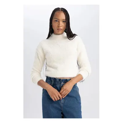 DEFACTO Regular Fit Half Turtleneck Knitwear Sweater